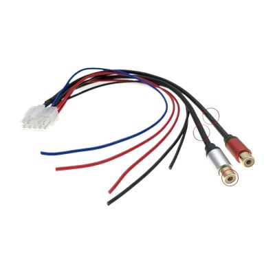 10 Pin Car Radio Stereo Amplifier Power Harness Sub-woofer RCA Compatible With Pioneer TS-WX1210A TS-WX101A TS-WX300TA TS-WX300A TS-WX400DA(B-Bold Gild 30cm)