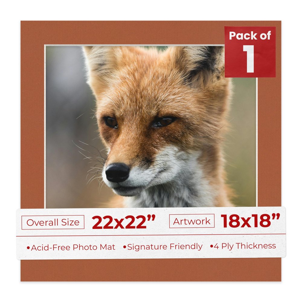 Poster Palooza Terra-Cotta Red Mat Board for 22x22 Frames - Fits 18x18 Photos - 1 Mat