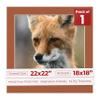Poster Palooza Terra-Cotta Red Mat Board for 22x22 Frames - Fits 18x18 Photos - 1 Mat view 1
