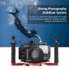 Luocute Dual Handle Camera Diving Rig, Adjustable Aluminum Alloy Underwater Tray Stabilizer with Expandable Dual Ball Head, for DSLR Camera Underwater Photography view 3