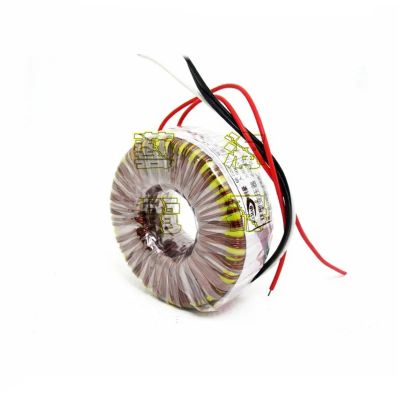 100 watt Dual 12V Dual 15V Dual 18V Dual 24V Transformer Ring Cattle fire Cattle Transformer Power Amplifier Board transfo(Dual 24V)