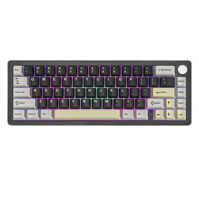 0RkayebEA Blue 66-Key CNC Aluminum Knob Wireless 2.4G Wired Hot Swap Gasket Mounted RGB Mechanical Gaming Keyboard Compatible with AL66(Black)