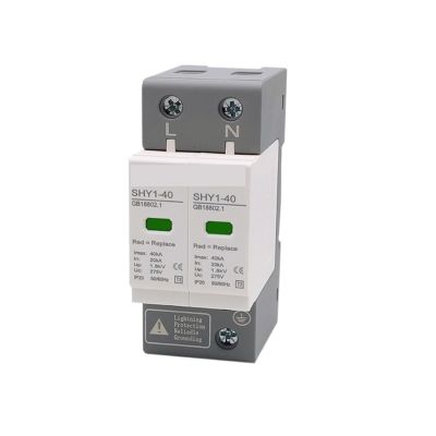 AC 2P Surge Protection 2040KA 30KA60KA House Lightning Protector Low-Voltage Arrester Device 275V 385V(2P 275V AC,30-60KA)
