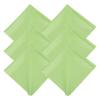 MECCANIXITY Eyeglasses Cloth Microfiber Cleaning Cloth for Eyeglasses Glasses Record Lenses Screens Cameras Cell Phone LCD TV Screens Tablets Laptop, Anti-Static 16" Green 2pcs view 1