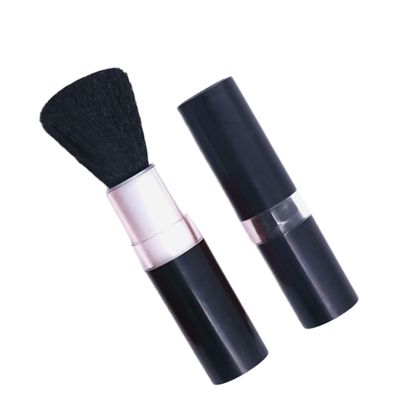 2 Pieces Telescopic Computer Brush Set for Keyboard Digital Devices Camera Lenses Compactly Rotating Design Portable Computer Brush