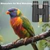 12x42 Telescope Binoculars 2026 (Black B) view 4