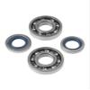 Replacement Crankshaft Bearing and Seal Set for TS410 TS420 Cut Off Saw, Aftermarket Engine Components Compatible with OEM 9503 003 0351, 9630 951 1696, 9640 003 1570 view 2