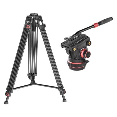 Tripod Stand, 74'' Video Tripod Metal Heavy Duty Professional for Camera Camcorder Fluid Head Pan Tilt Damping Max Load 22lb/10kg(Tripod with V12)