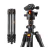 Tripod Stand, 64"/1.6m Carbon Fiber Lightweight Travel Tripod with 36mm Metal Ball Head 8kg/17.6lbs and Quick Release Plate view 1
