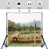 5x5ft Wedding Photography Valentines Day Background Backdrop Outdoor Event Decoration for Baby Shower Bridal Party Banner Photo Booth Props view 4