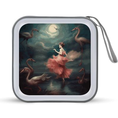 LPSBVNM 40-Sheet Capacity CD Case Storage Bag,A Night of Miracles And Magic Printed Large Capacity CD Protective Storage Organizer Portable DVD Case for Car, Home,Office,Travel