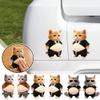 3D Shiba Inu Dog Belly Sticker,Cute Kitten Wearing Orange Outfit with Pink Belly Decals,Super Soft Silicone Anti-Collision Animal Protectors Stickers for Phone, Car, Stress Relief view 3