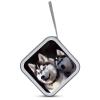 FekiLoot Husky Dog CD Case Portable DVD Case Holder Large Storage Disc Wallet Bag 40 Capacity Hard Plastic Disc Cases Storage Binder DVD Case Wallet for Car Home Travel view 3