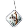 FekiLoot Koala And Butterfly CD Case Portable DVD Case Holder Large Storage Disc Wallet Bag 40 Capacity Hard Plastic Disc Cases Storage Binder DVD Case Wallet for Car Home Travel view 3