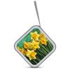 FekiLoot Yellow Daffodils Flowers CD Case Portable DVD Case Holder Large Storage Disc Wallet Bag 40 Capacity Hard Plastic Disc Cases Storage Binder DVD Case Wallet for Car Home Travel view 3