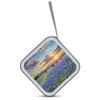 FekiLoot Texas Bluebonnets Scenery CD Case Portable DVD Case Holder Large Storage Disc Wallet Bag 40 Capacity Hard Plastic Disc Cases Storage Binder DVD Case Wallet for Car Home Travel view 3