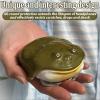 Frog Airpod Case  Innovative Design, Cute Frog Earphone Case for Airpod  Fun Animal-Themed Earphone Protection, Creative Gift for Friends and Family (#04, for airpods pro 2) view 4
