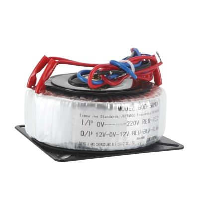 100W toroidal 100VA220V380V Input Single Set of 24V 12V 36V 48V 110 Power Amplifier toroidal(110V,40V)