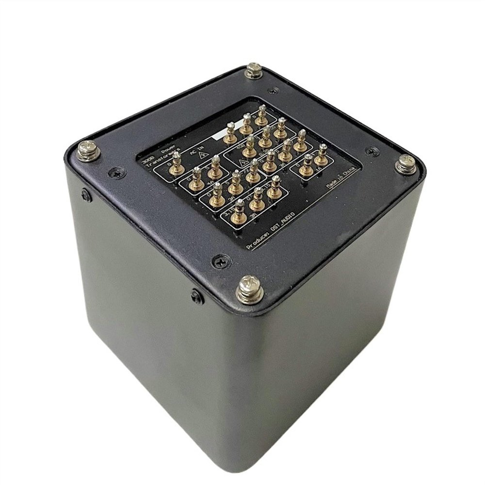 1000W Power Vacuum Tube Power Amplifier Class A Power Amplifier Power Vacuum Tube Amplifier(Potting Plate)