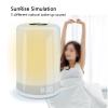 Wake Up Light Sunrise Alarm Clock, Natural Wake-Up with 7 Color Mood Light, Nature Sounds, Touch Control, Snooze, 3 Brightness Levels, Portable for Bedroom, Travel view 2