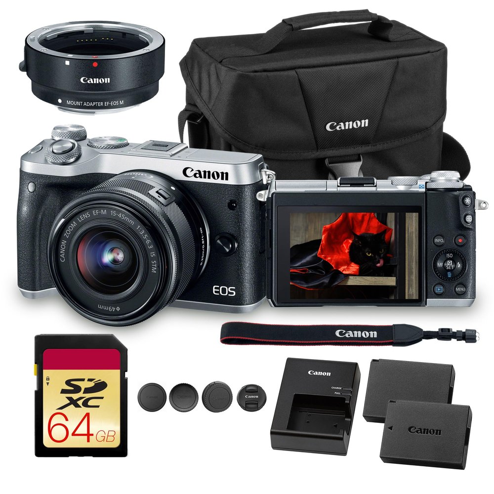 Canon EOS M6 Mirrorless Digital Camera with 15-45mm Lens (Silver) 24.2MP APS-C Sensor, Dual Pixel AF & Full HD Video | Vlogging Camera (1725C011) + EF-M Lens Adapter + LP-E17 + 64GB Card + Bag