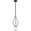 Troy Lighting F6324 Raef One Light Mini Pendant, 24", Textured Black view 1