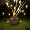 Bulbrite 810056 14 ft. 10- Socket Cord Set E12 String Light view 4