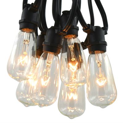 Commercial Vintage Edison String Lights (ST40 Clear - Black Wire, 25 Foot)