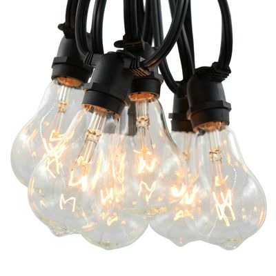 Commercial Vintage Edison String Lights (PS50 Clear - Black Wire, 100 Foot)