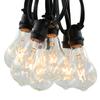 Commercial Vintage Edison String Lights (PS50 Clear - Black Wire, 100 Foot) view 1