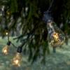 Commercial Vintage Edison String Lights (PS50 Clear - Black Wire, 100 Foot) view 4