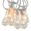 Commercial Vintage Edison String Lights (ST40 Clear - White Wire, 50 Foot) view 1