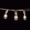Commercial Vintage Edison String Lights (ST40 Clear - White Wire, 50 Foot) view 3