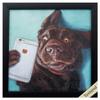 Propac Images 7711 Dog Selfie view 1