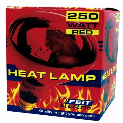 Heat Lamp [Set of 12] Wattage: 250W, Glass Color: Red