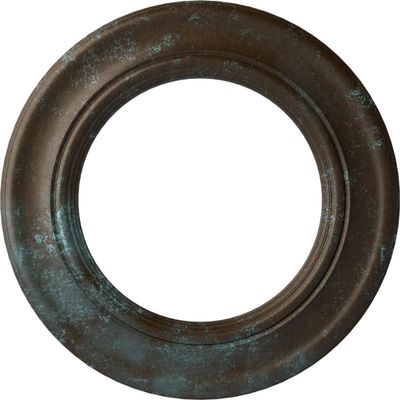 Ekena Millwork CM20HOBBS Holmdel Ceiling Medallion fits Canopies up to 12 7/8, Bronze Blue Patina
