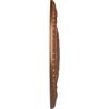 Ekena Millwork CM24NAPOS - 24 1/4"OD x 2"P Neuveau Ceiling Medallion (Fits Canopies up to 6 3/8") - Ceiling Medallion, Polished Copper view 3