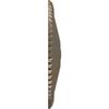 Ekena Millwork CM24SHWSS - 24"OD x 3"P Shakur as Ceiling Medallion (Fits Canopies up to 5") - Ceiling Medallion, Warm Silver view 3