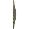 Ekena Millwork CM24SHPTF 24" x 3" Shakur As Ceiling Medallion, Painted Turtle view 3