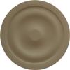 Ekena Millwork CM20BLBBS Baile Ceiling Medallion, Bronze Blue Patina view 4