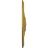 Ekena Millwork CM19BIPGS Bailey Ceiling Medallion, Pharaohs Gold view 3