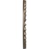 Ekena Millwork CM20SHWSS Shakuras Ceiling Medallion, Warm Silver view 3