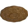 Ekena Millwork CM22CNSTC 22 OD x 1 1/2 P Cornelia Ceiling Medallion (fits Canopies up to 4"), Smokey Topaz Crackle view 2