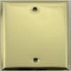 Stamped Polished Brass 1 Single Gang Blank Wall Plate- 1 Blank view 1