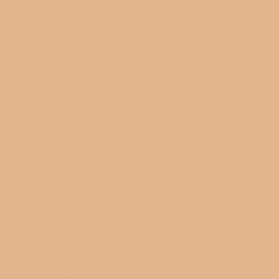 Lee Warm Tone Chocolate Gel Filter 20x24, Color Correcting, Polyester, Brown