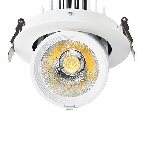 LUMINTURS 15W Dimmable COB-Chipset Bulb Dimmable LED Ceiling Recessed Down Light Fixture Flush Mounted Spot Lamp