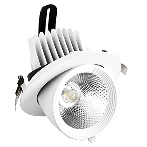 LUMINTURS 40W Dimmable COB-Chipset Bulb LED Ceiling Recessed Down Light Fixture Flush Mounted Spot Lamp