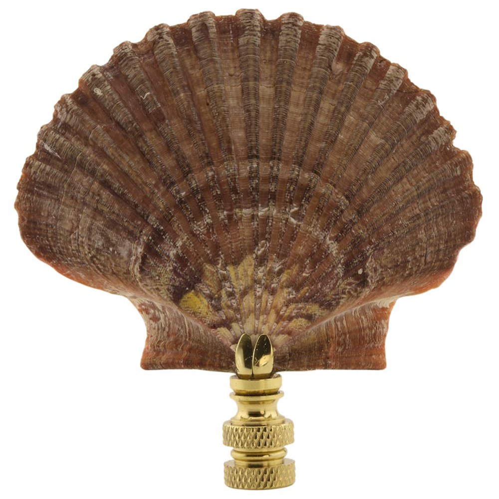 Mexican Flat Sea Shell Lamp Finial 3" h