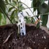 UST Stainless Steel Tool A Long Multi-Tool, Standing Bear view 2