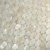 AFSJ Genuine White Oval Mother of Pearl Mosaic Tile for Bathroom/Kitchen/Shower/Spa Backsplash (6 Sheets) view 2